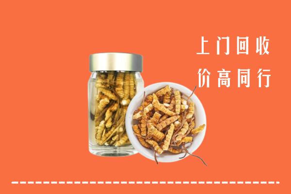 商河县回收冬虫夏草